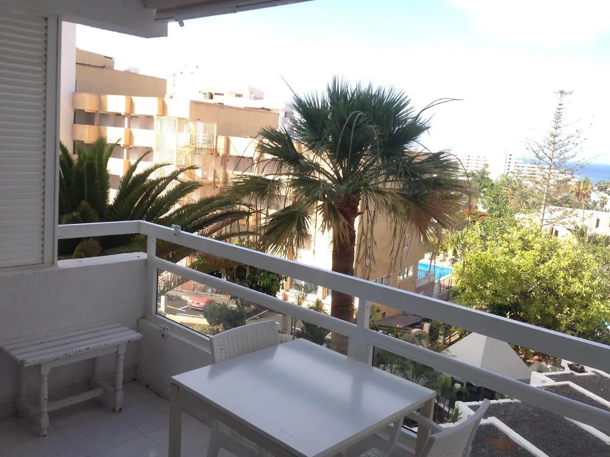 Coqueto Estudio Con Piscina Y Parking Privado Apartment Playa de las Americas  0*, Playa de las Americas (Tenerife)