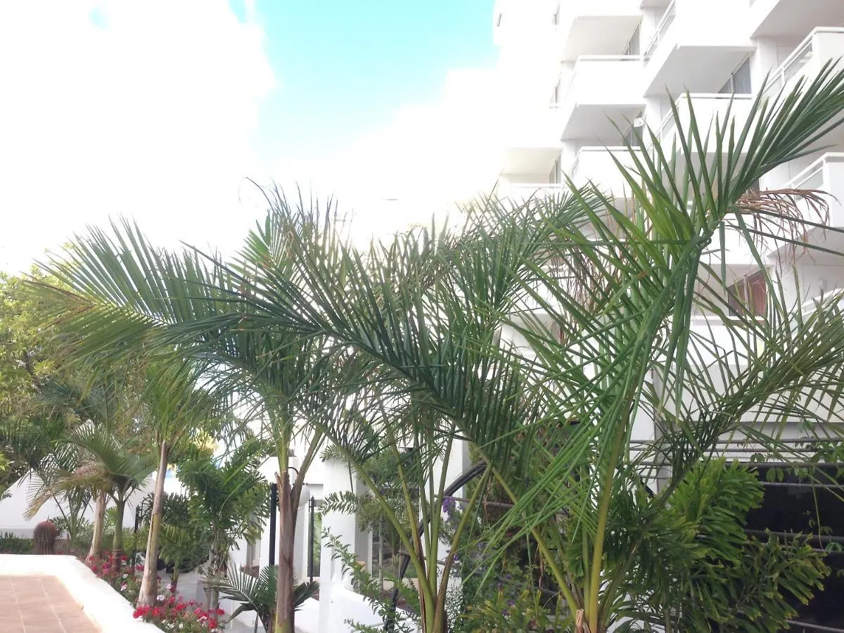 Coqueto Estudio Con Piscina Y Parking Privado Apartment Playa de las Americas